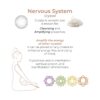 Adrien Lastic Harmony Stones Kegel Balls
