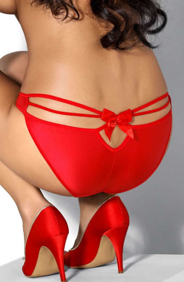roza_mimi_brief_red_closeup_2 Roza Mimi Brief Red